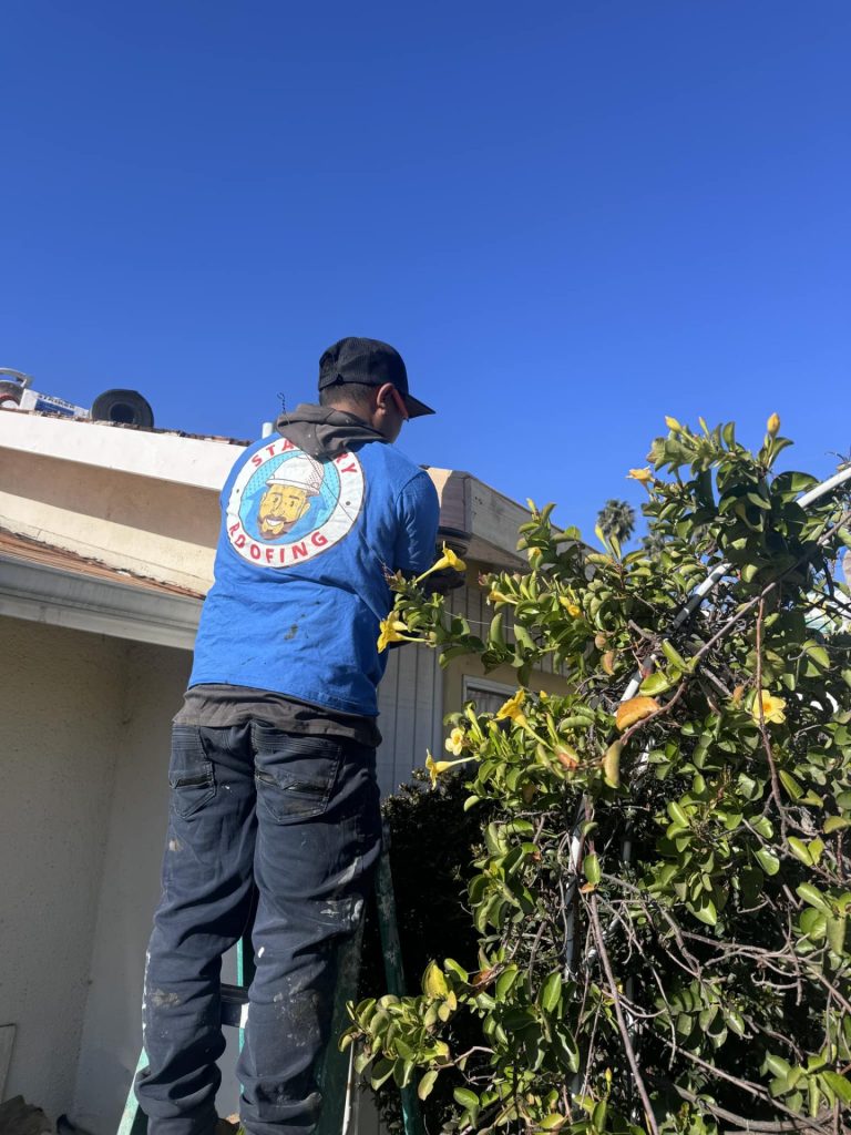 fascia board repair