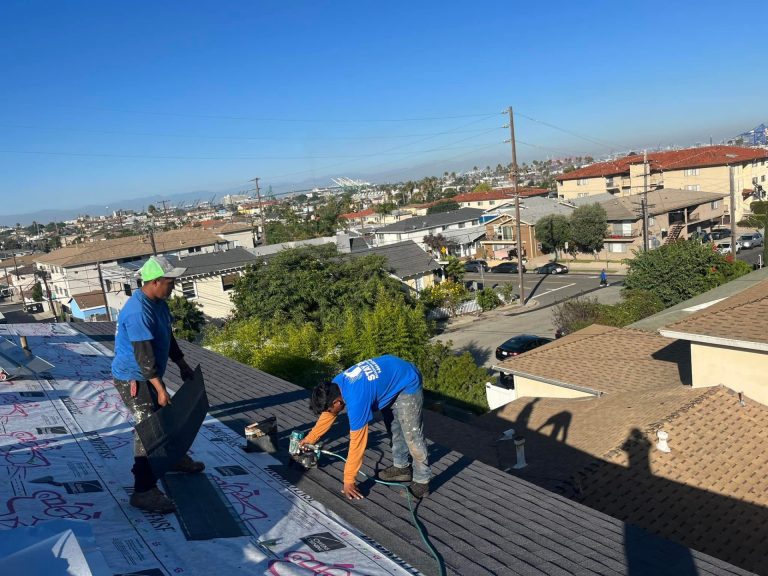 Shingle Roofs